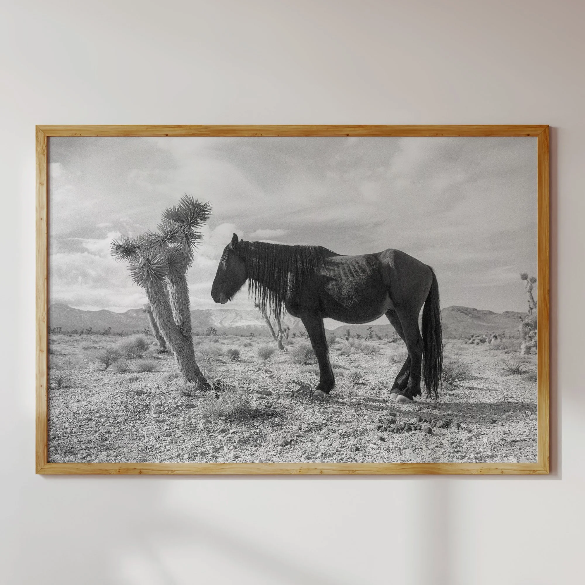 Lone Desert Horse Western Home Decor Wall Art Black And White